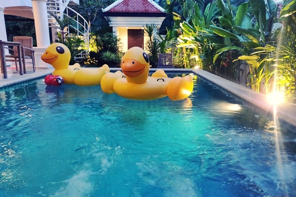 ที่พักพัทยา สุนัขเข้าได้