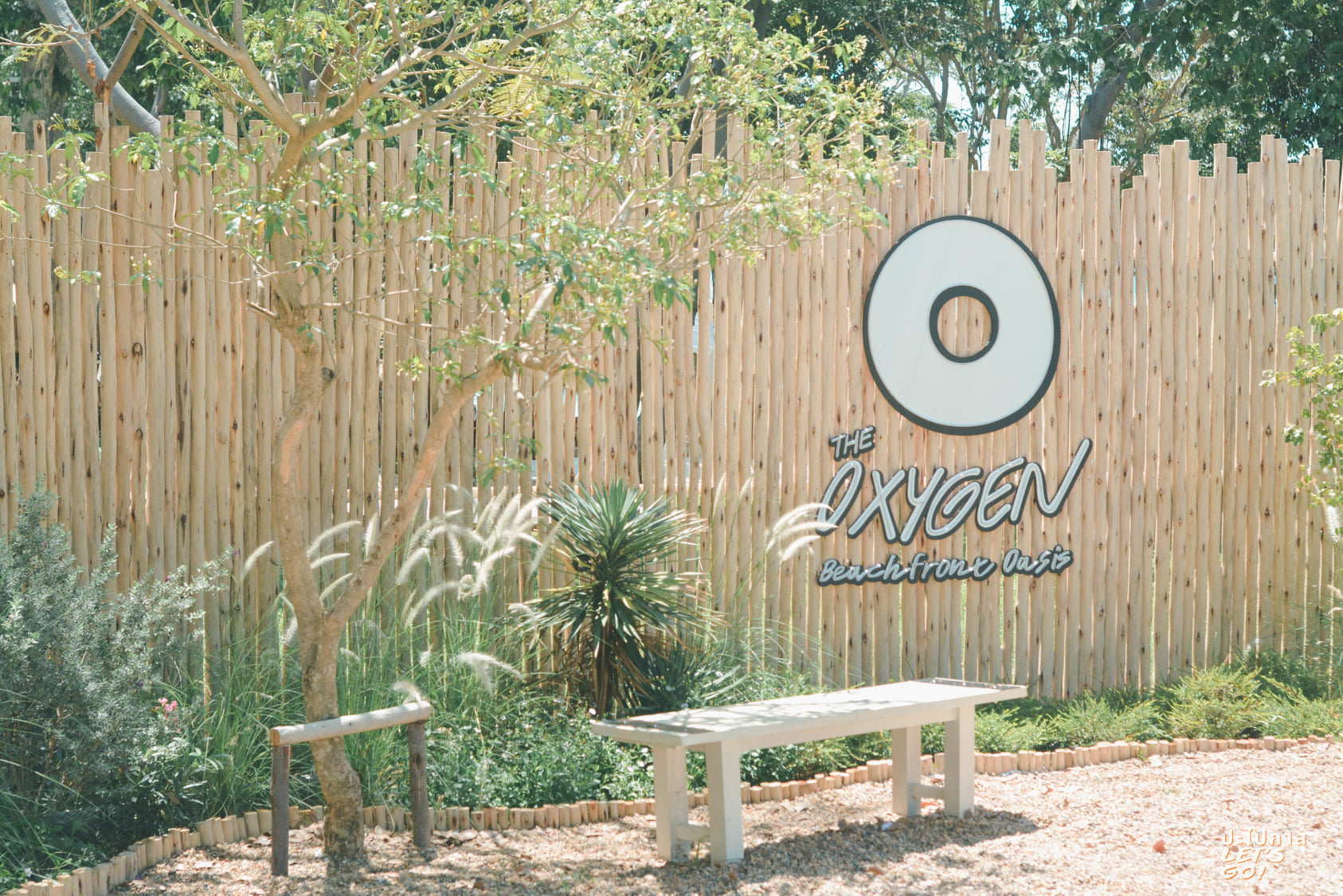 ร้านอาหารพัทยาเปิดใหม่