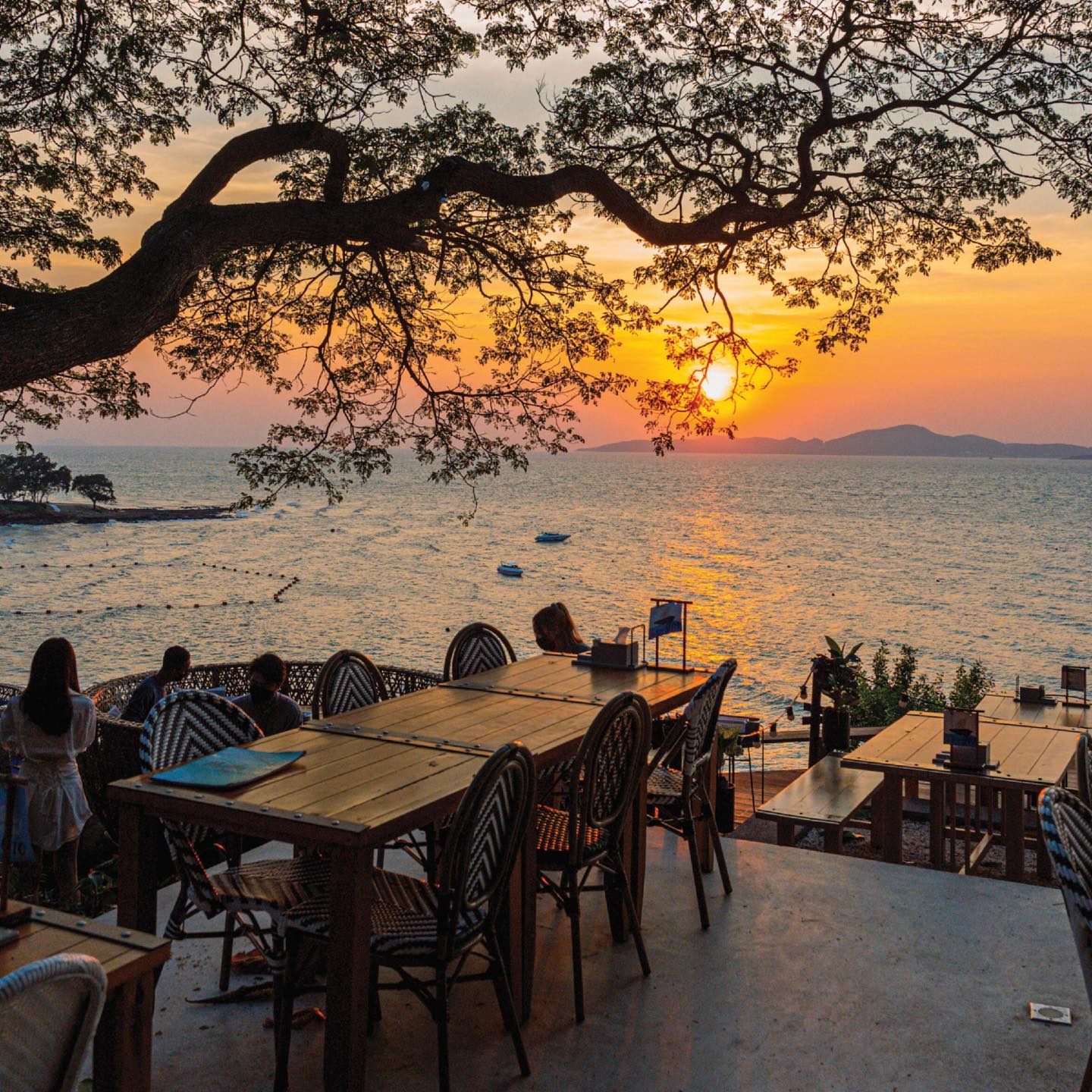 ร้านอาหารพัทยาเปิดใหม่