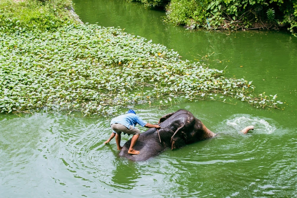 เที่ยวพัทยา2วัน1คืน