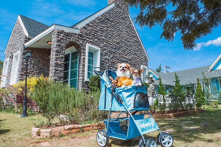 พูลวิลล่าเขาใหญ่ 2 คน